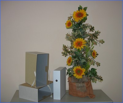 Untitled%202.jpg